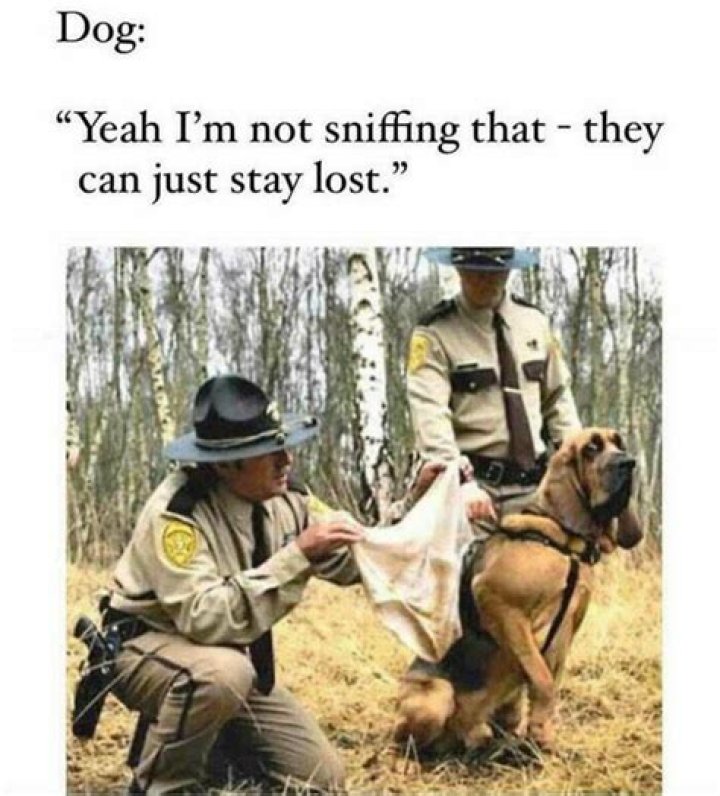 Biden's Dog Memes: A Woof-tastic Journey Through Humor