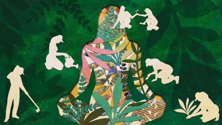 Discovering Salma Bashir: A Journey Through Art And Advocacy