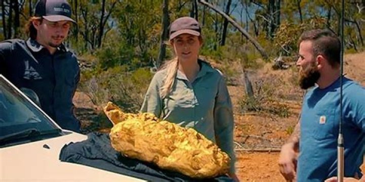 Discovering The Multifaceted World Of Tyler Mahoney