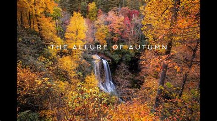 Exploring The Allure Of Autumn Cambron On OnlyFans