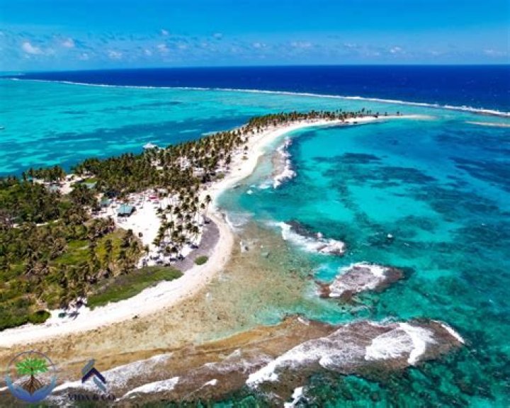 Exploring The Allure Of Shabree Rawls Nude: A Deep Dive