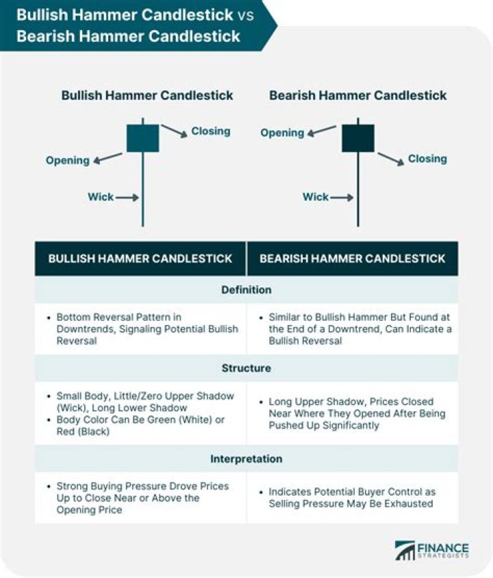 Exploring The Dynamics Of Stephen Amell's Family