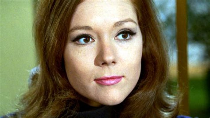 Exploring The Life And Career Of Brittany Lopez