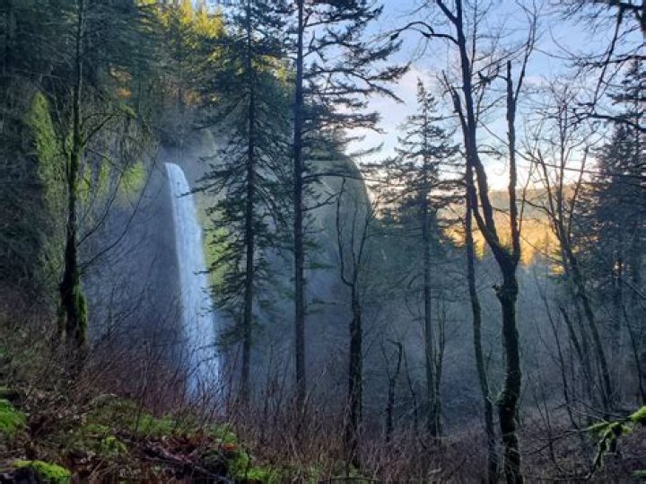 Exploring The Vibes Of "Let's Go" By The Cars