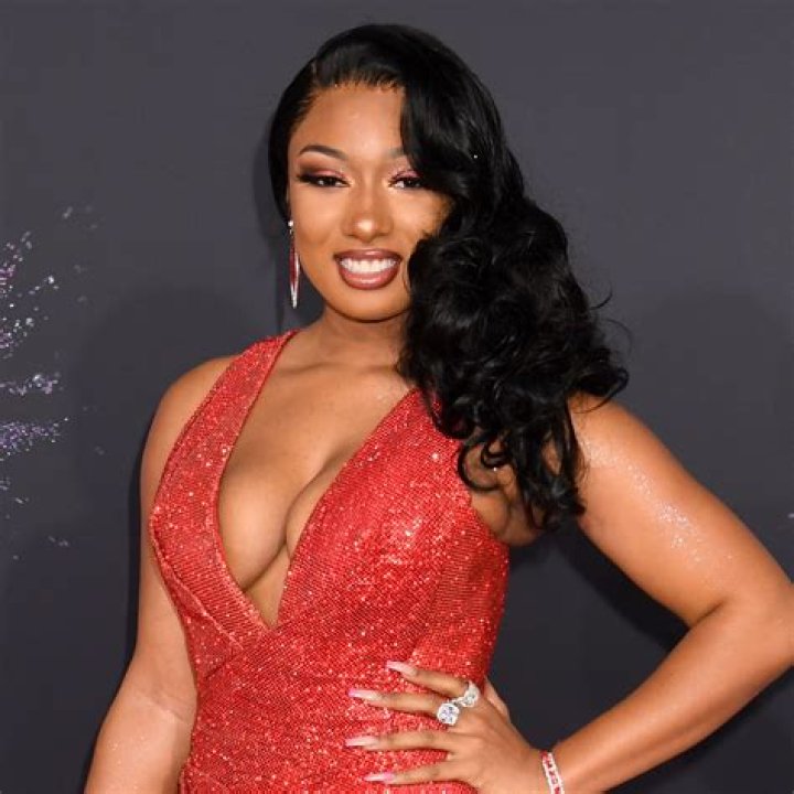 Megan Thee Stallion: A Deep Dive Into Her Ethnicity And Cultural Heritage
