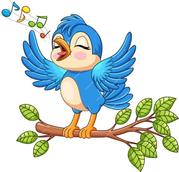 Melodies Of Autumn: The Enchantment Of Bird Singing In September