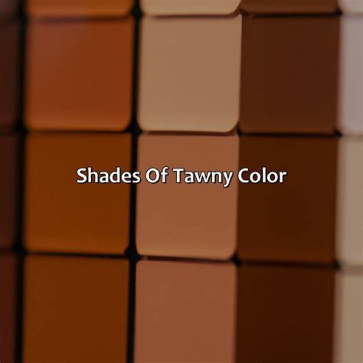 Tawny: The Enigmatic Color Of Nature And Emotion