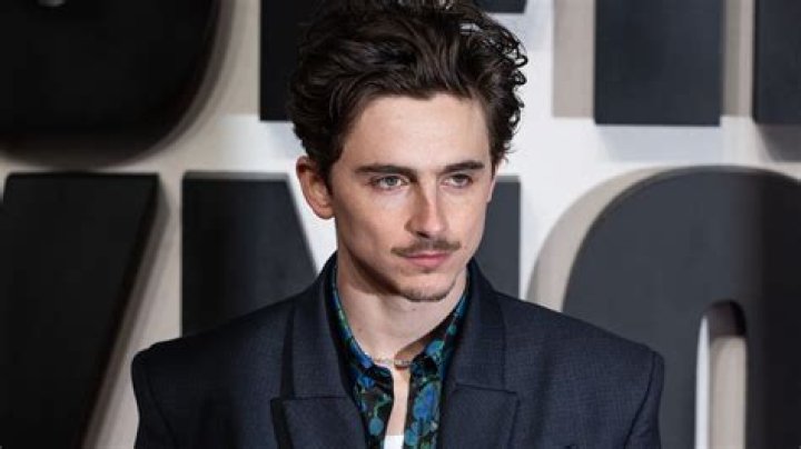 Timothée Age: The Rising Star Of Hollywood