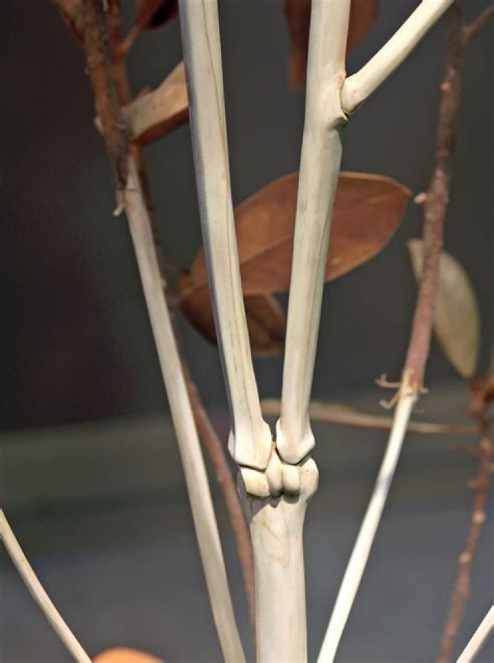 Travis Graves: A Life Remembered And The Circumstances Of His Death