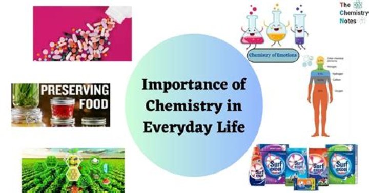 Understanding Amine Time: A Journey Through Chemistry And Life