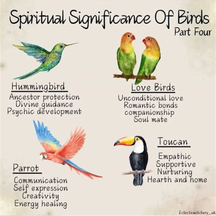 Understanding The Spiritual Significance Of Birds Flying In Circles