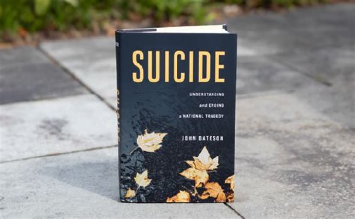 Understanding The Tragedy: Bay Bridge Suicide
