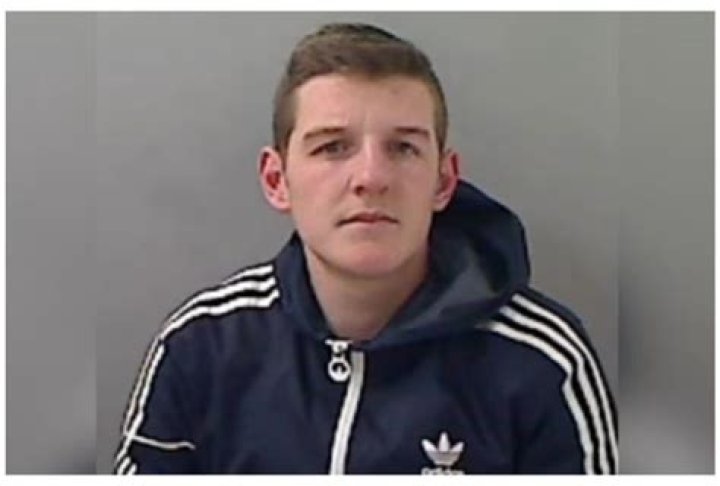 Unraveling The Connection Between Daniel Larson And Adam Driver