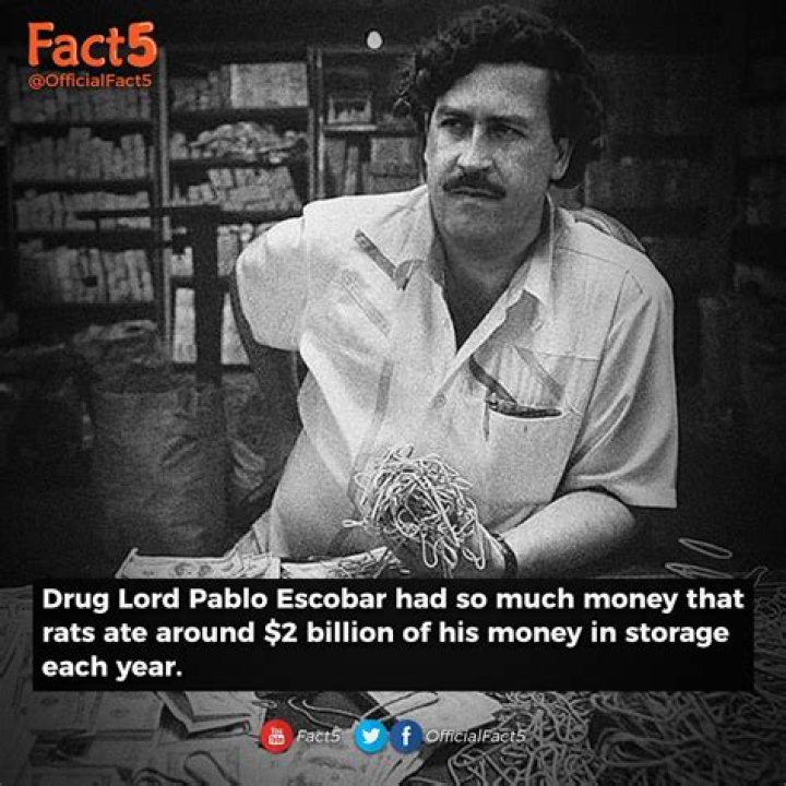 Unraveling The Enigma: How Much Money Did Pablo Escobar Accumulate?