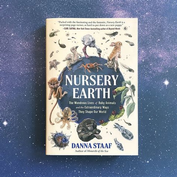 Unraveling The Enigma Of Braxjonez: A Journey Into The Life Of A Stellar Talent