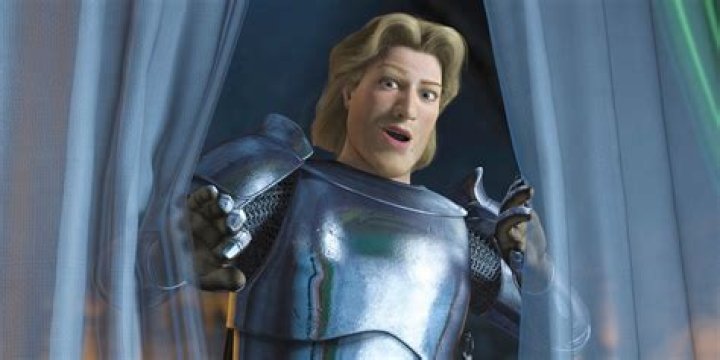 Unveiling The Charm Of The Handsome Prince Shrek