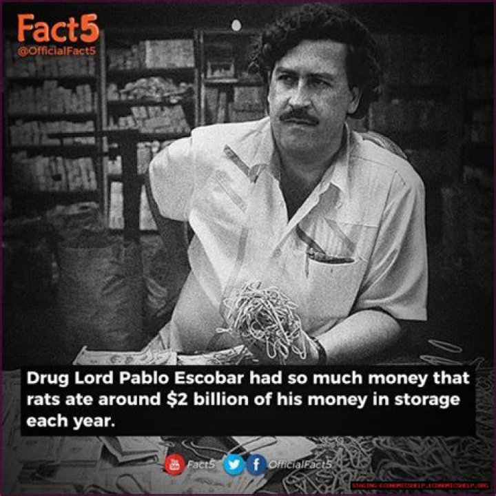 Unveiling The Wealth Of A Drug Lord: How Much Pablo Escobar Made