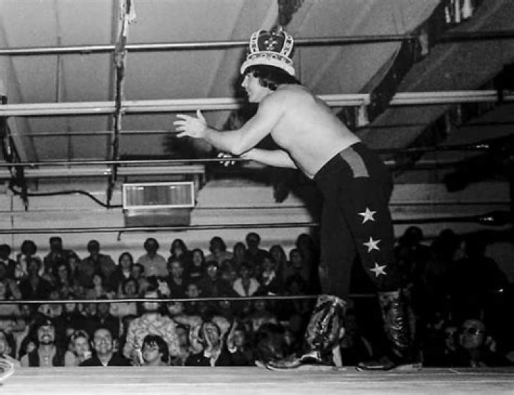 Unveiling The Wealth Of A Wrestling Legend: Bill Dundee Net Worth