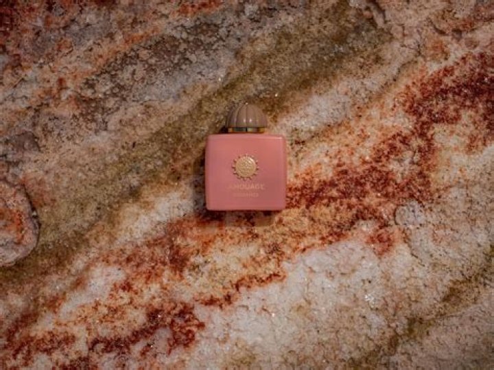 Unveiling The Wealth Of Owl City: A Deep Dive Into Adam Young's Net Worth